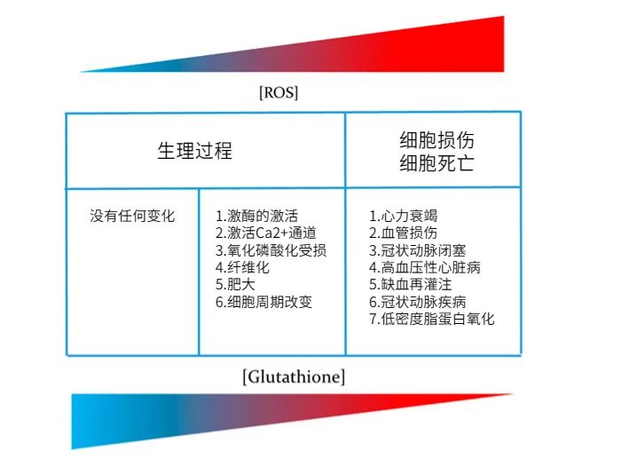 旭彩网