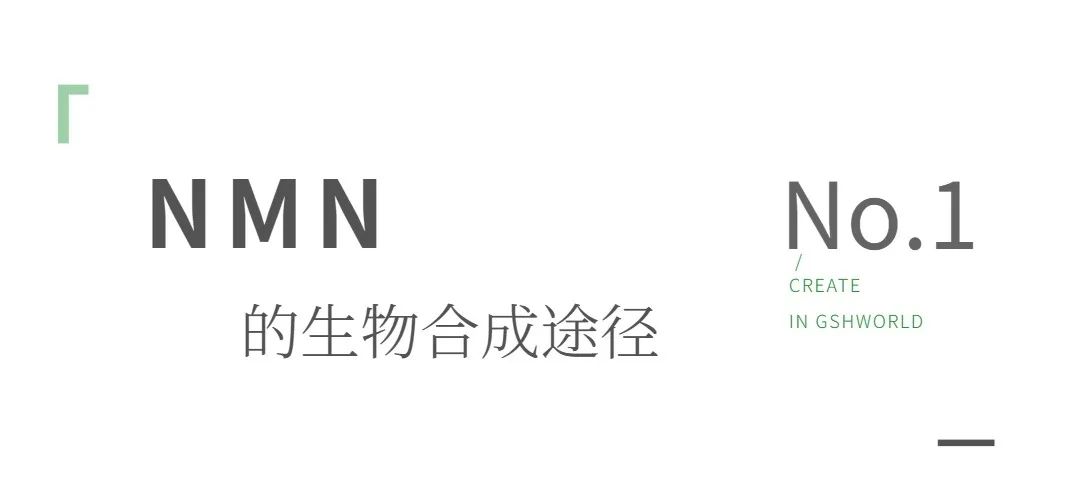 旭彩网
