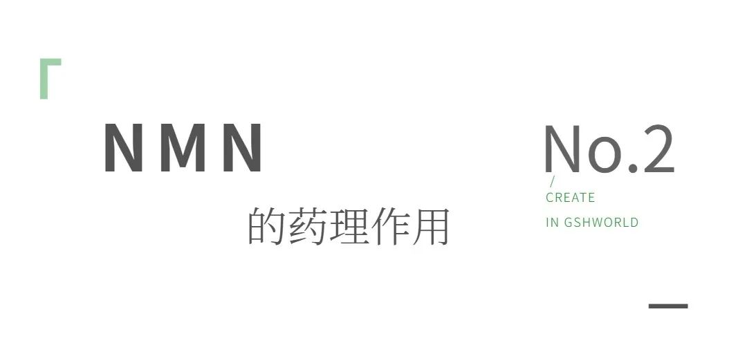 旭彩网