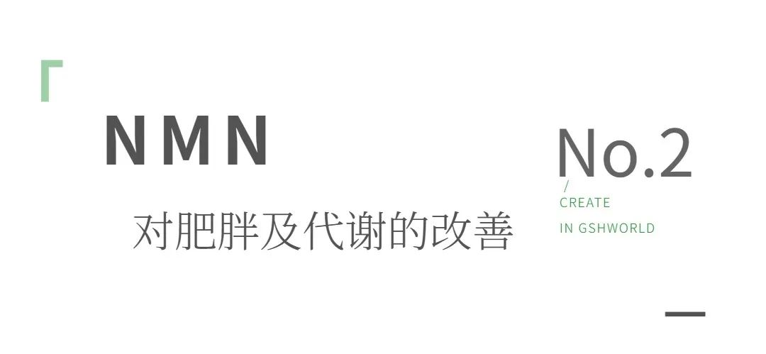 旭彩网