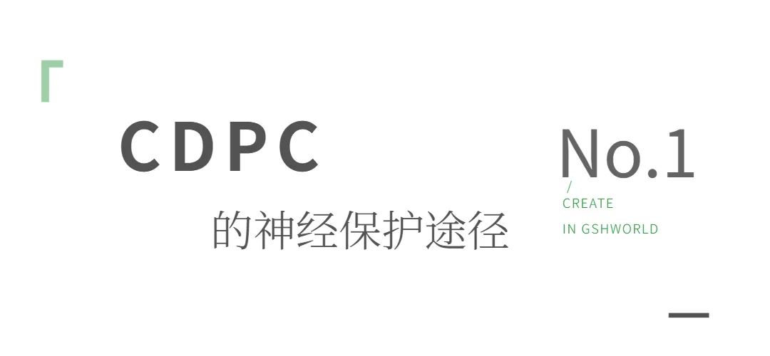 旭彩网