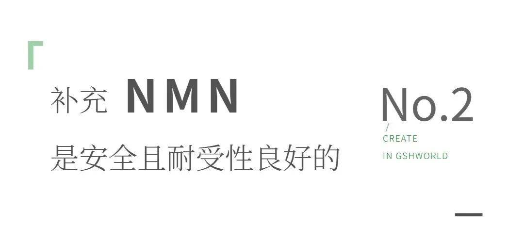 旭彩网