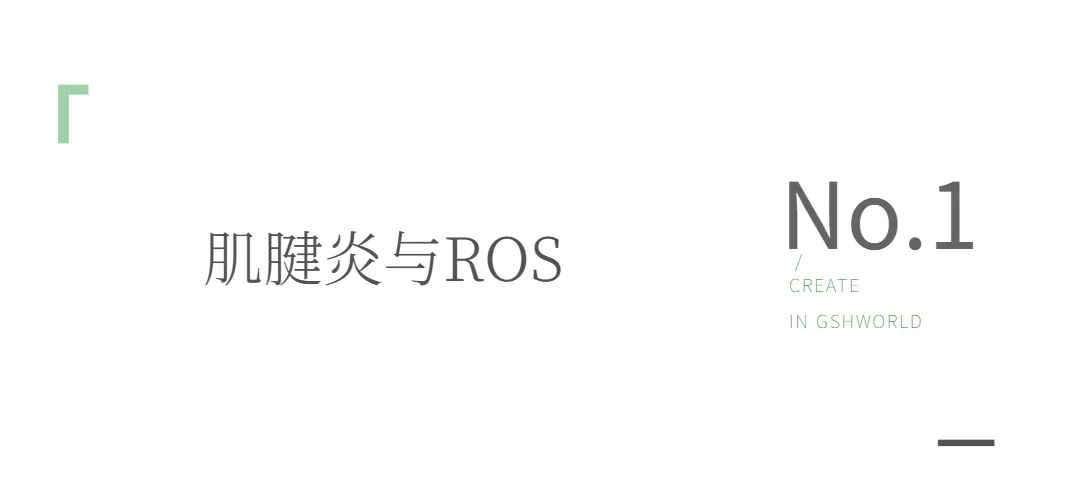 旭彩网