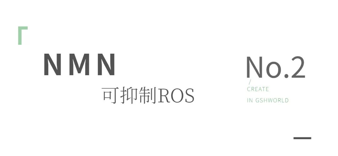 旭彩网