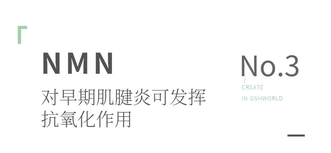 旭彩网