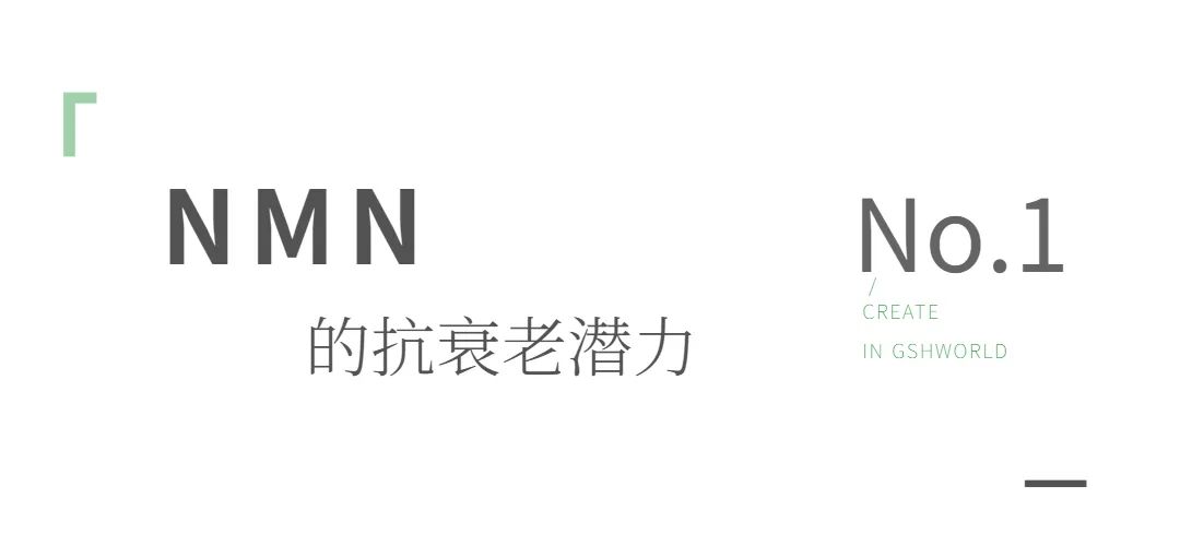 旭彩网