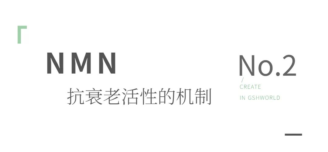 旭彩网