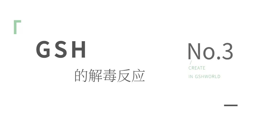 旭彩网