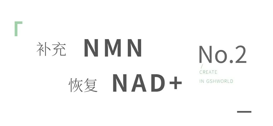旭彩网