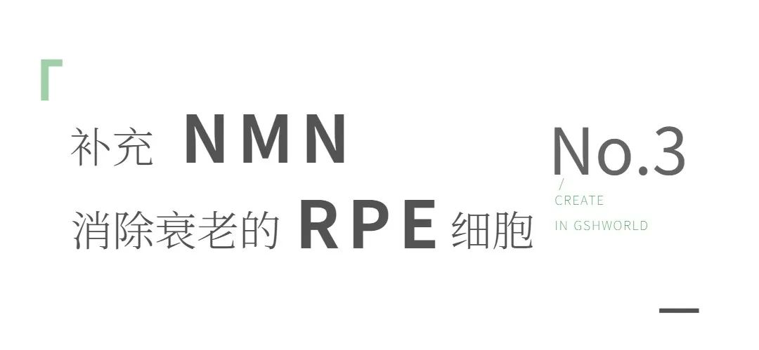 旭彩网