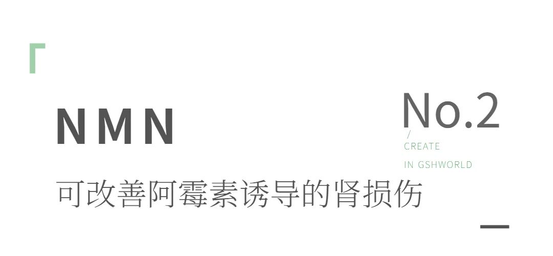旭彩网