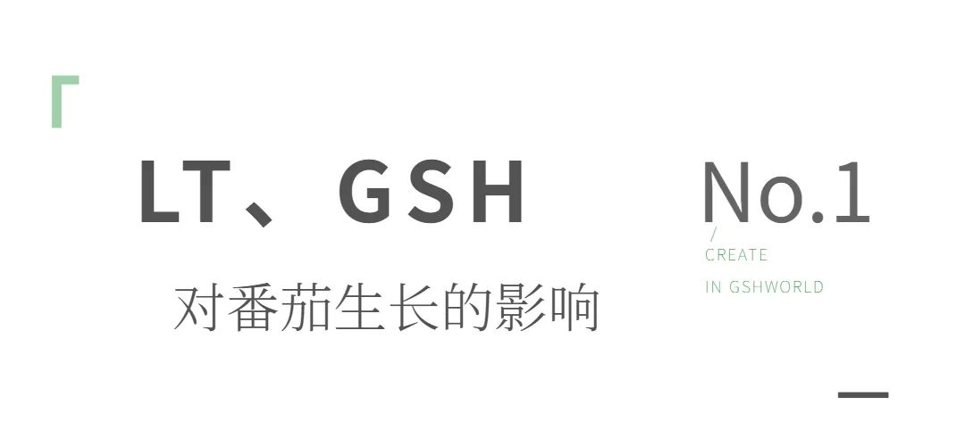 旭彩网