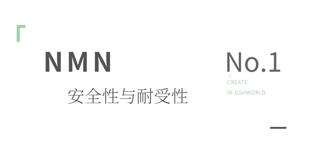 旭彩网