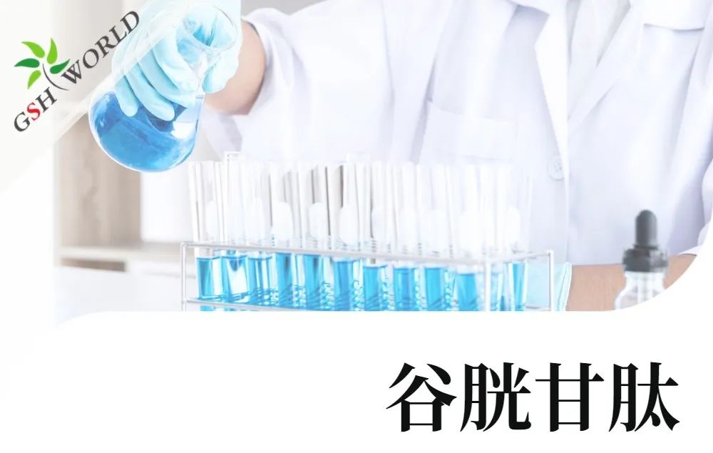 旭彩网
