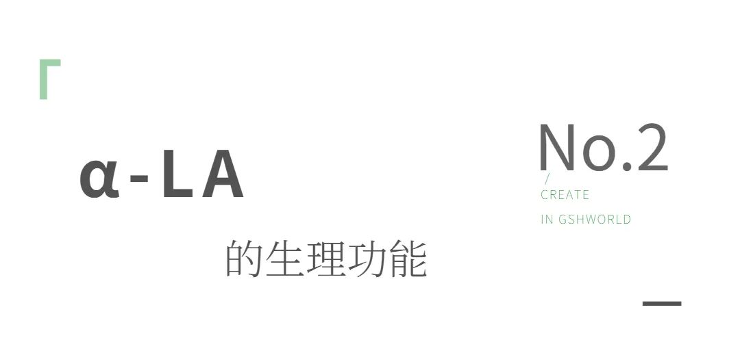 旭彩网