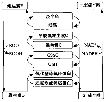 旭彩网