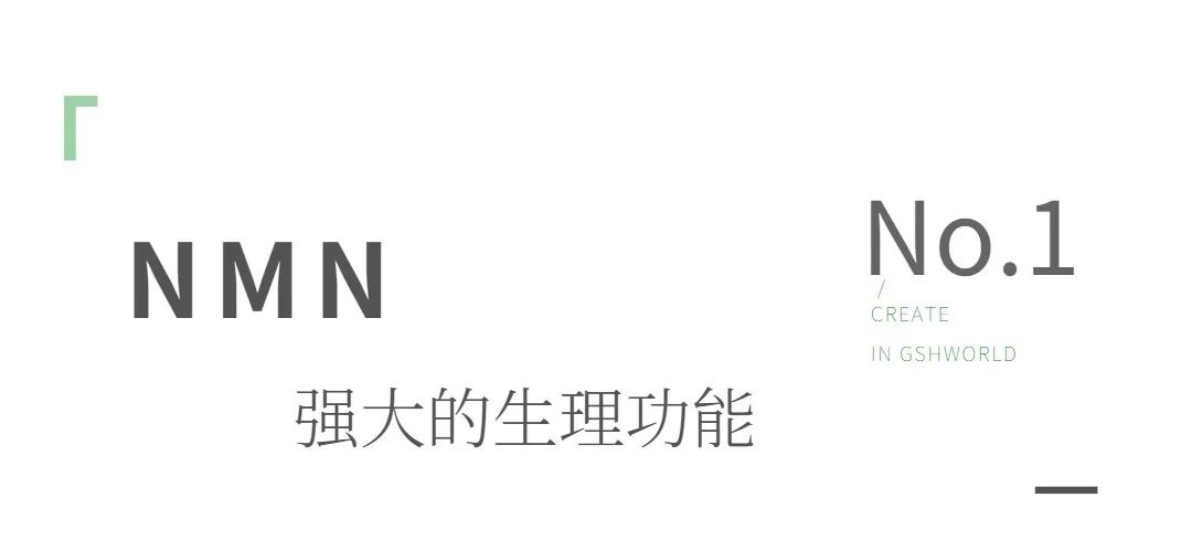 旭彩网