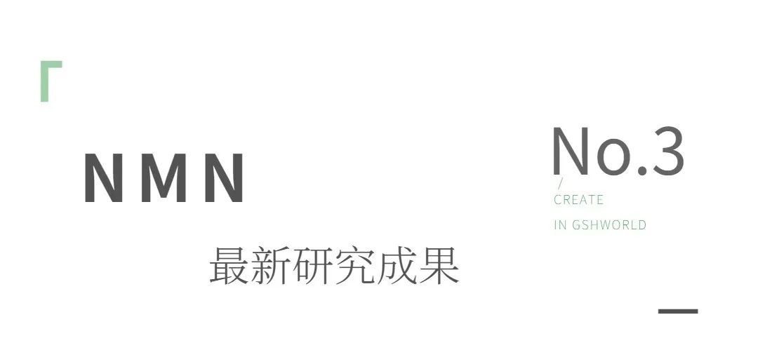旭彩网