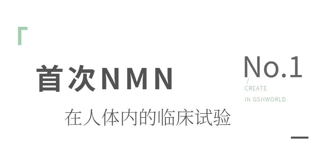 旭彩网