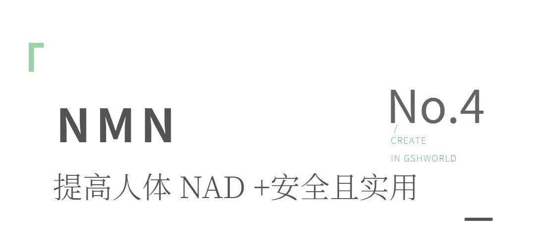 旭彩网