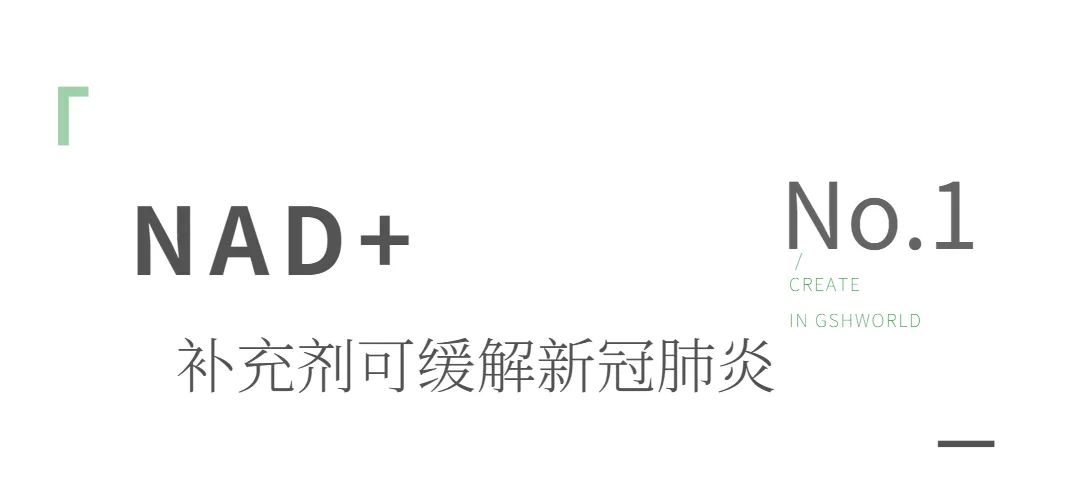 旭彩网