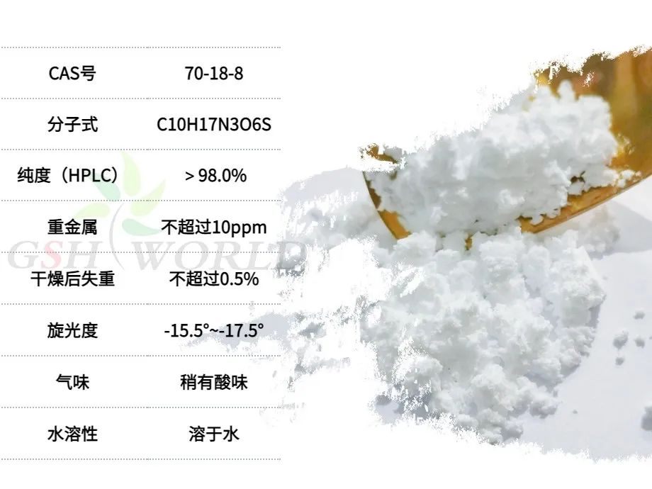 旭彩网