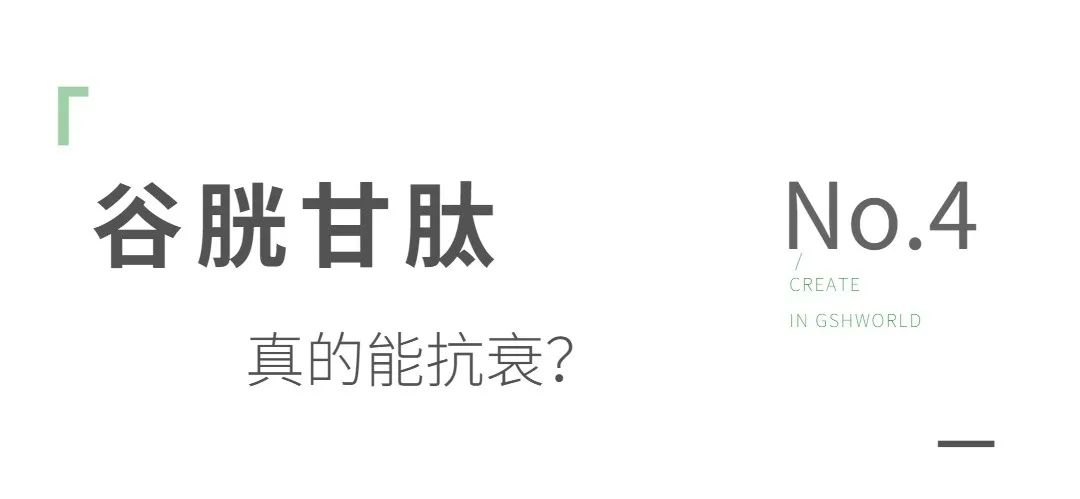 旭彩网