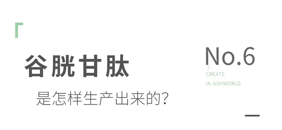谷胱甘肽是如何生产的？