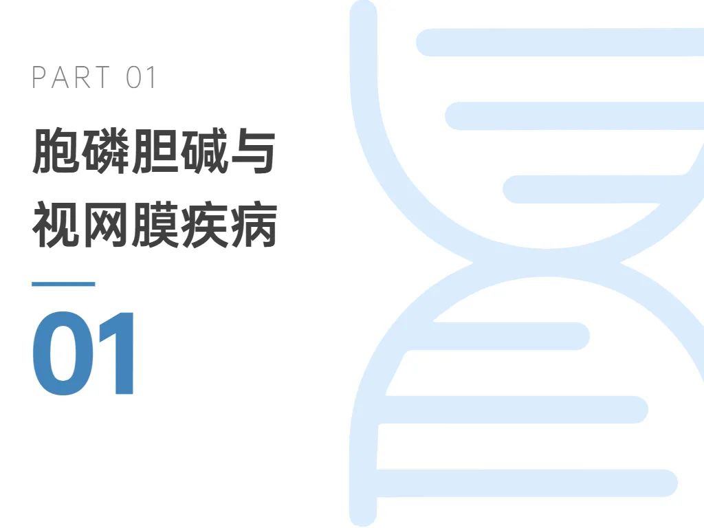 旭彩网