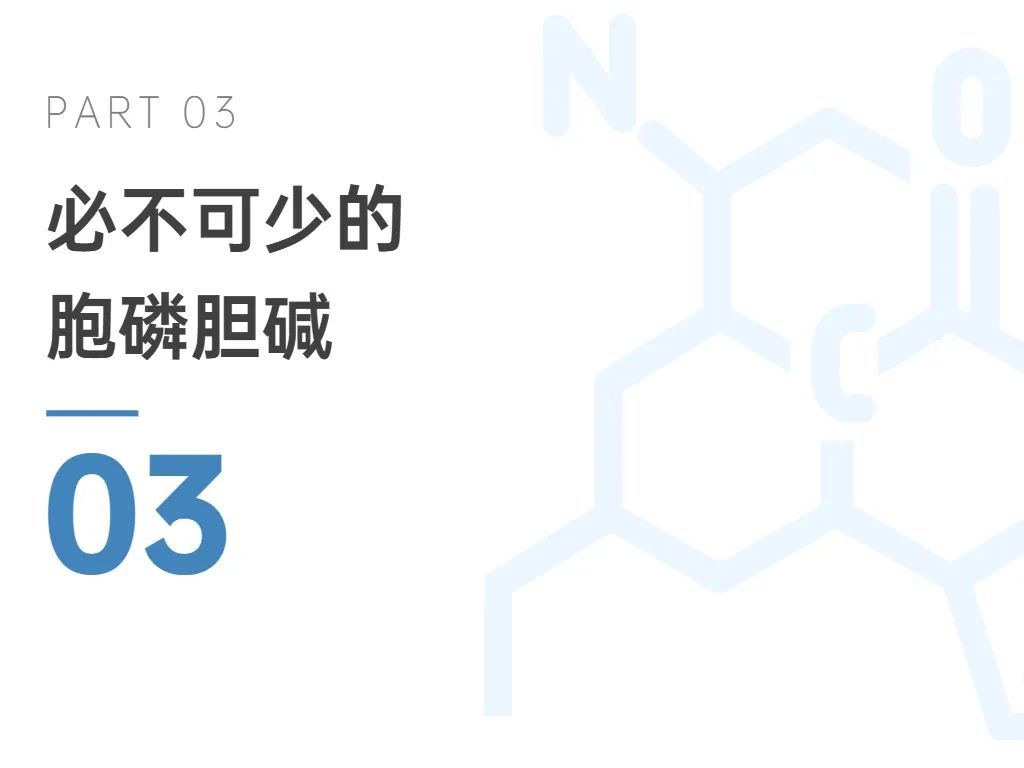 旭彩网