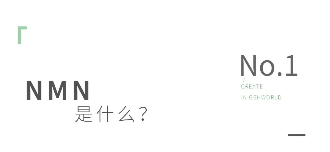 旭彩网