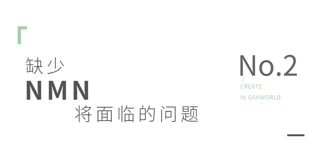 旭彩网