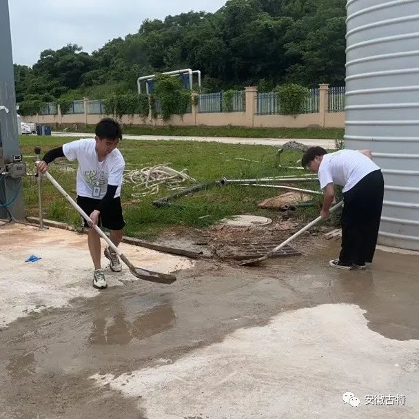 旭彩网