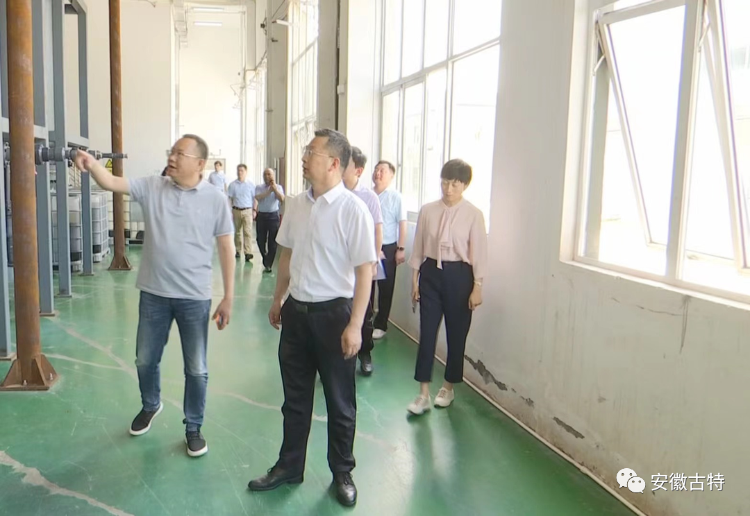 旭彩网