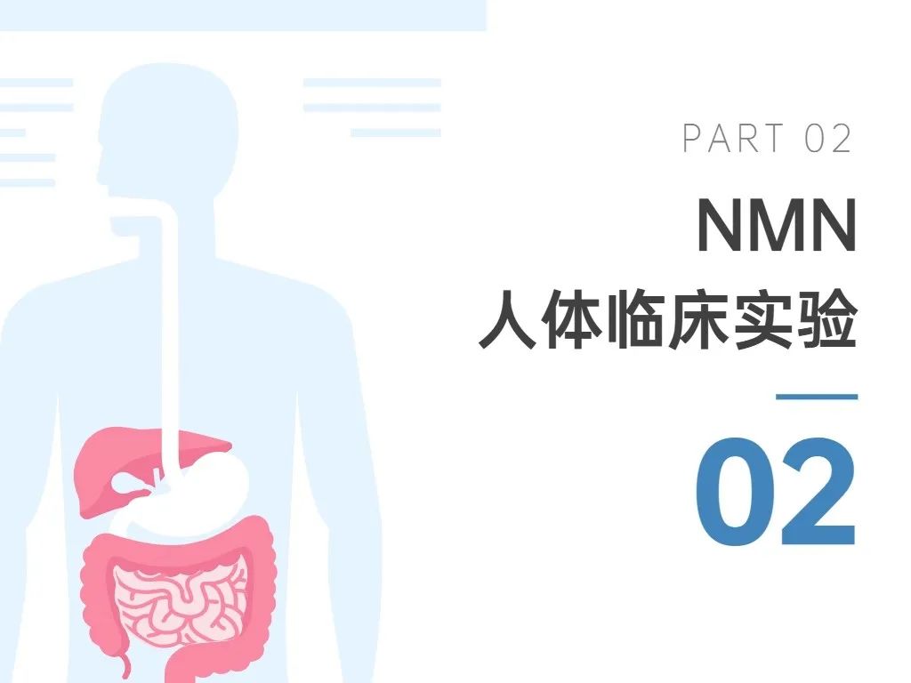 旭彩网