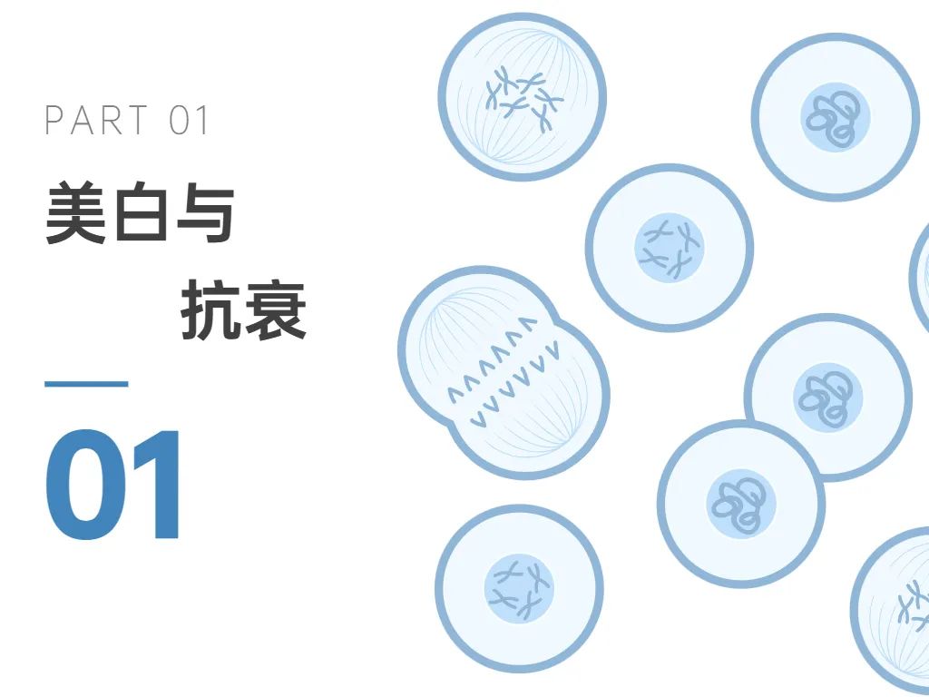 旭彩网