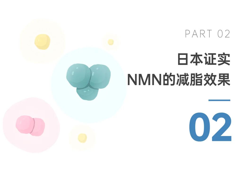 旭彩网
