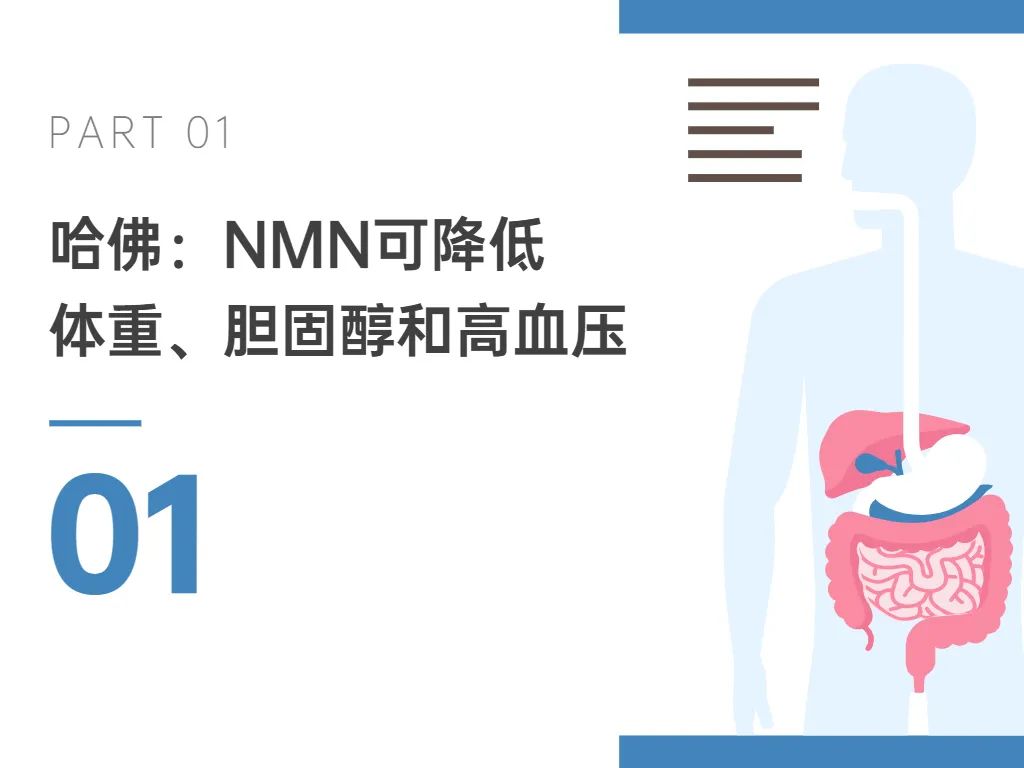 旭彩网