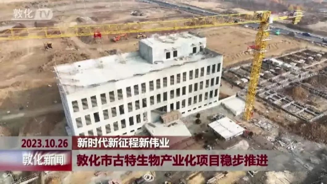 敦化市旭彩网产业化项目稳步推进