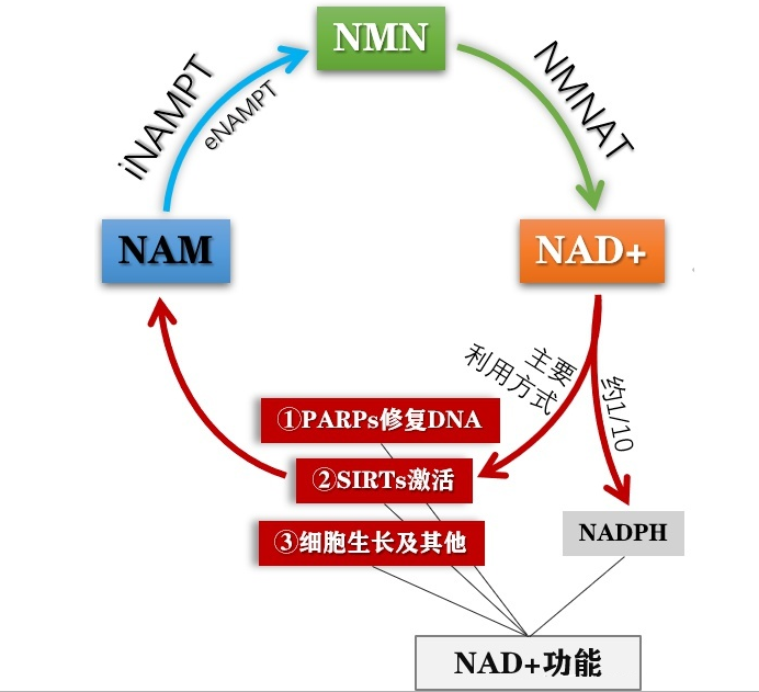 旭彩网