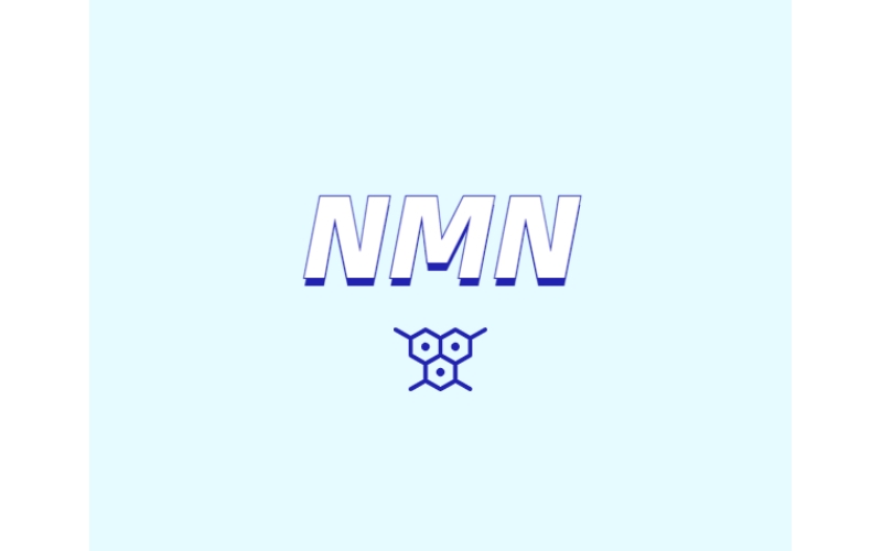 NMN与NR的差异和区别